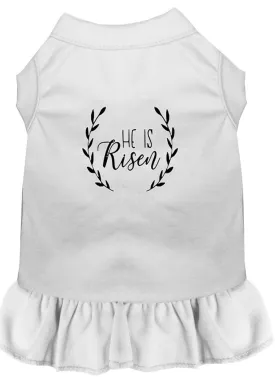 He Is Risen Screen Print Dog Dress White Xs (8)