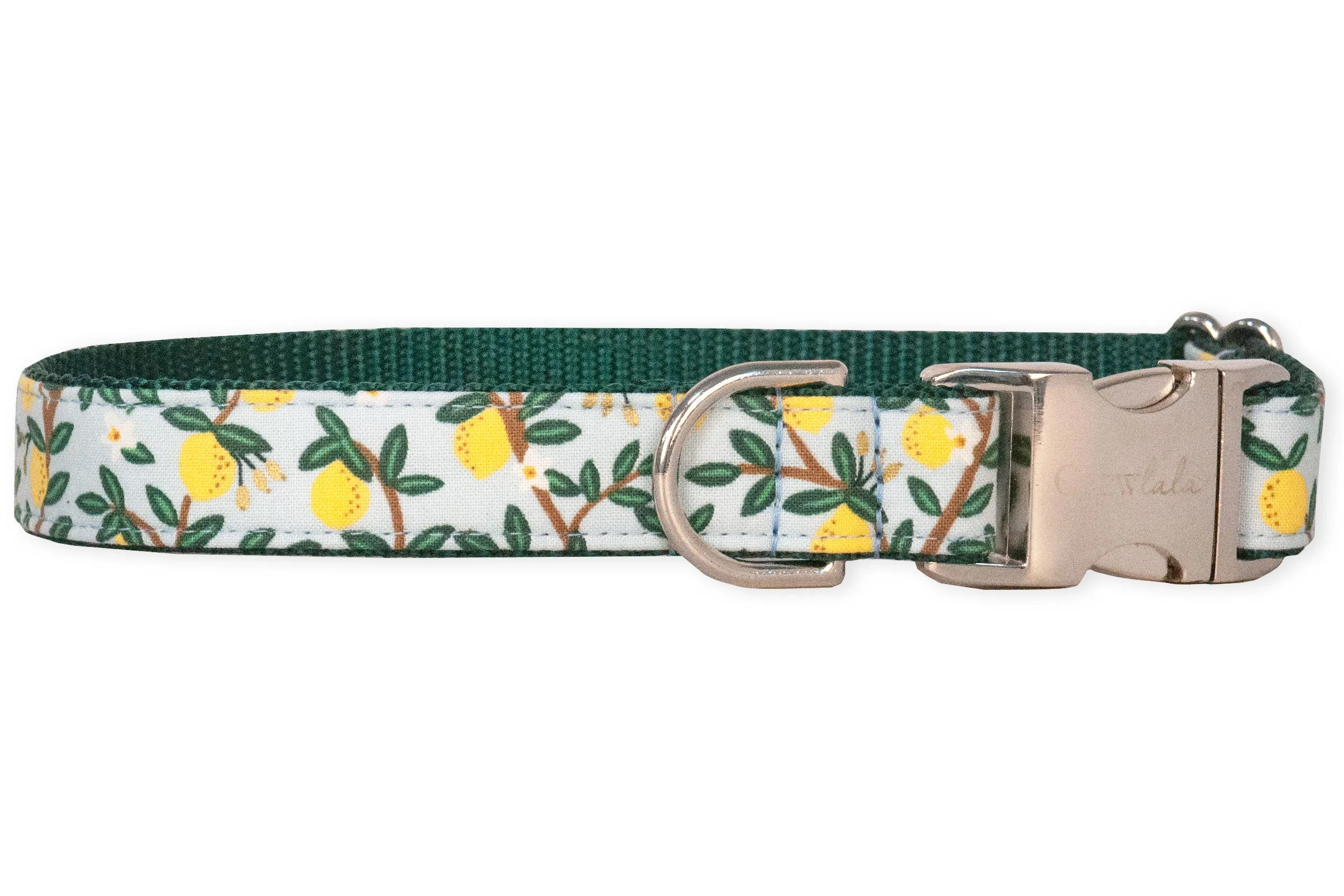 Lovely Lemon Dog Collar - Two Styles
